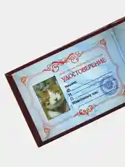 Прикольное удостоверение "Счастливчика"