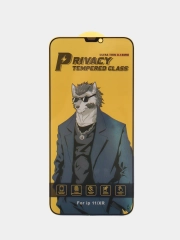 Защитное стекло-антишпион для iPhone 11 / XR Premium Премиум