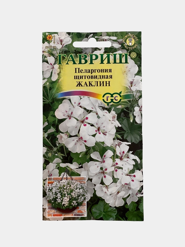 Пеларгония Жаклин, семена, цветы