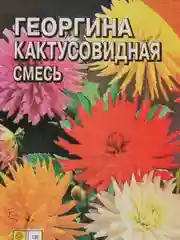 Семена цветов Георгина Кактусовидная смесь, О, 0,1 г