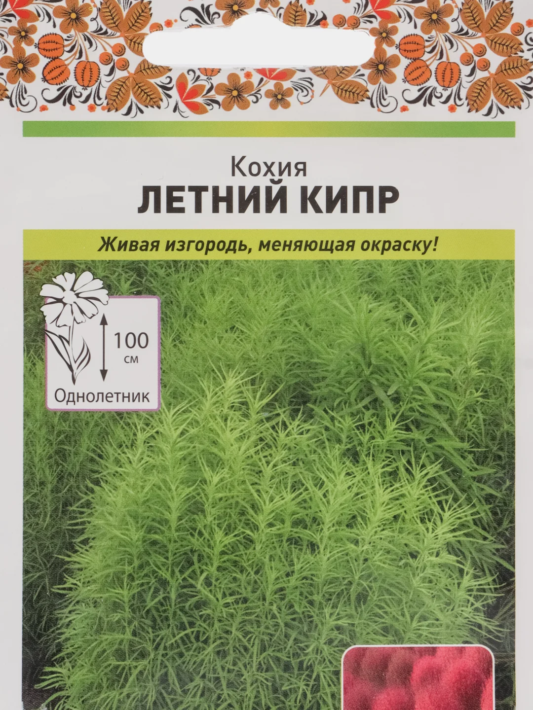 Семена цветов Кохия "Летний Кипр", 0,3 г