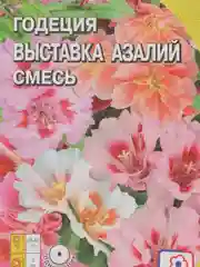 Семена цветов Годеция "Выставка Азалий", смесь, 0,1 г