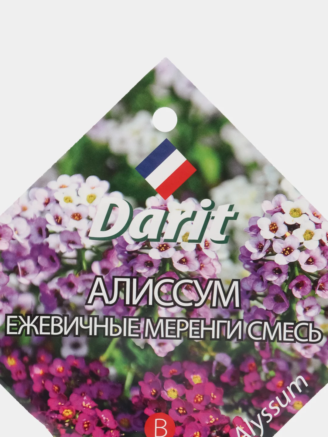 Семена цветов Алиссум "Ежевичные меренги", О, DARIT 0,2 г