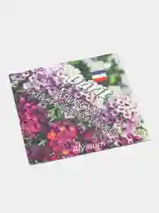 Семена цветов Алиссум "Ежевичные меренги", О, DARIT 0,2 г