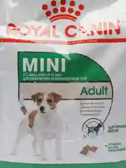 Сухой корм для взрослых собак мини пород Royal Canin Mini Adult c 10 мес