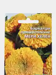 Цветы Бархатцы прямостоячие Мери Хелен (УД), семена