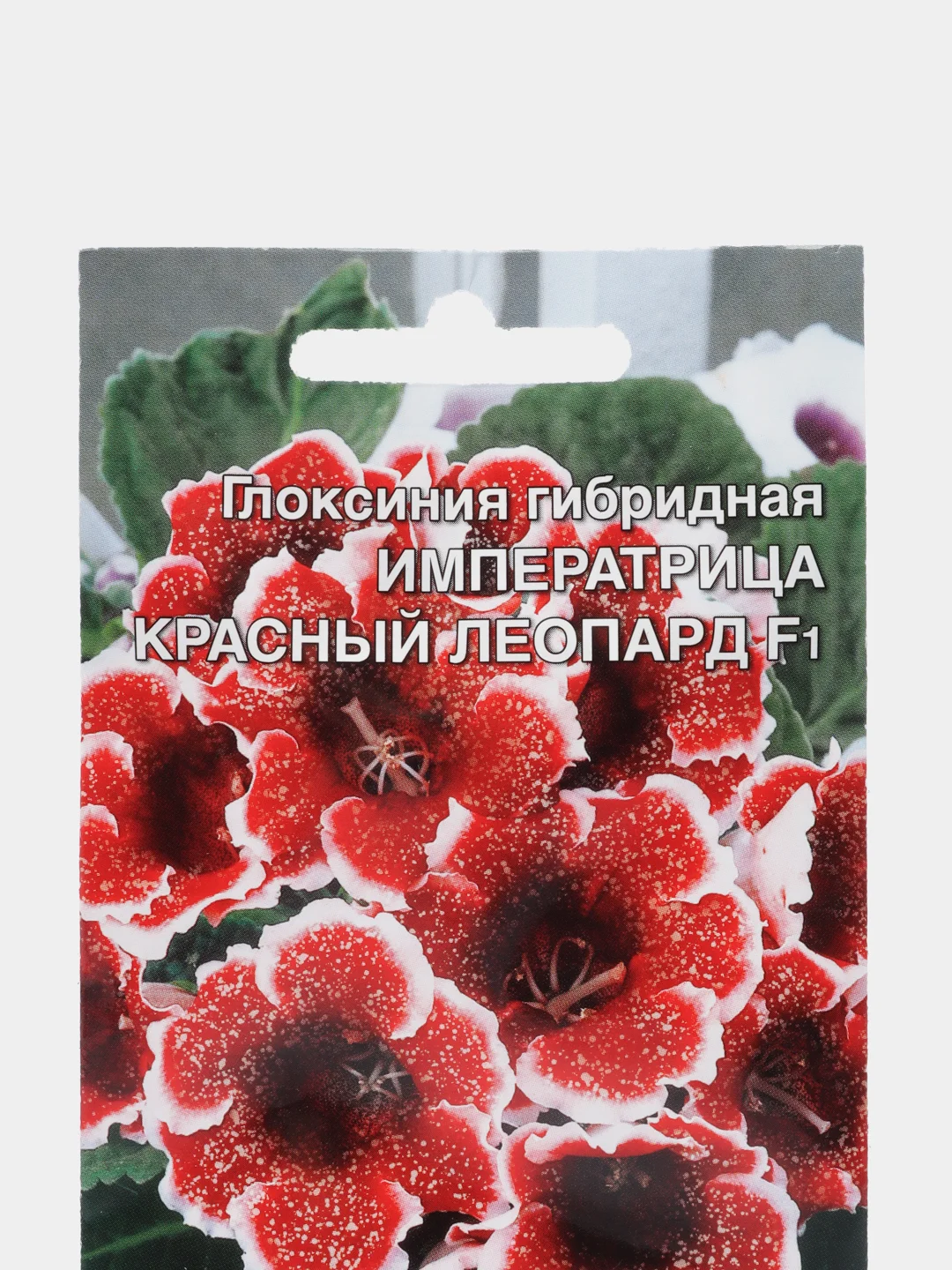 Цветы Глоксиния гибридая Императрица красный леопард F1 (УД), семена