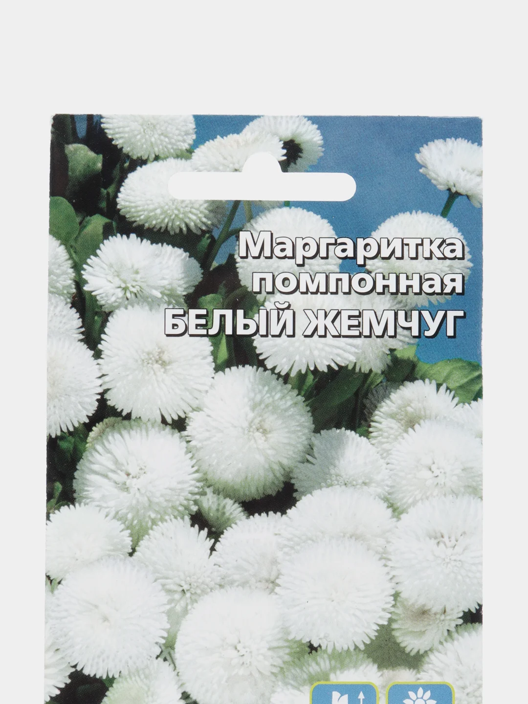 Цветы Маргаритка помпонная Белый Жемчуг (УД), семена
