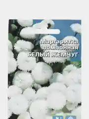 Цветы Маргаритка помпонная Белый Жемчуг (УД), семена