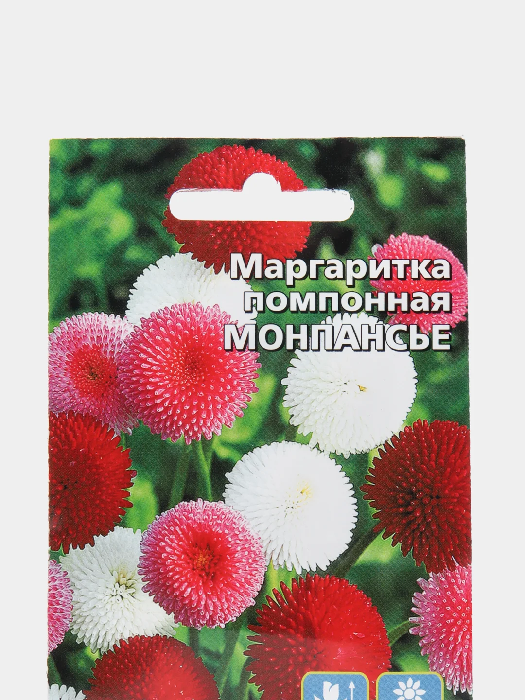 Цветы Маргаритка помпонная Монпасье (УД), семена