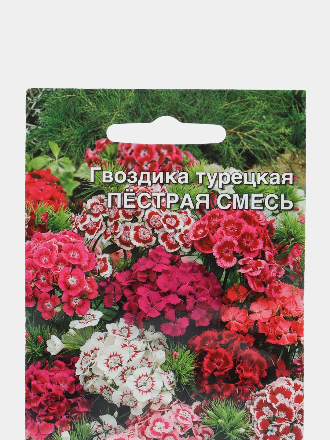 Цветы Гвоздика турецкая Пестрая Смесь, "Уральский Дачник", семена