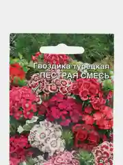 Цветы Гвоздика турецкая Пестрая Смесь, "Уральский Дачник", семена