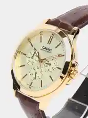 Коричневый часы наручные Casio MTP-V300