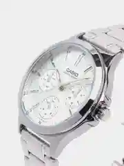 Серебряный часы наручные Casio LTP-V300