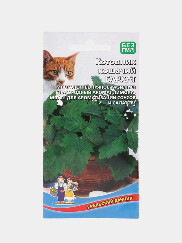 Котовник кошачий Бархат (УД), семена