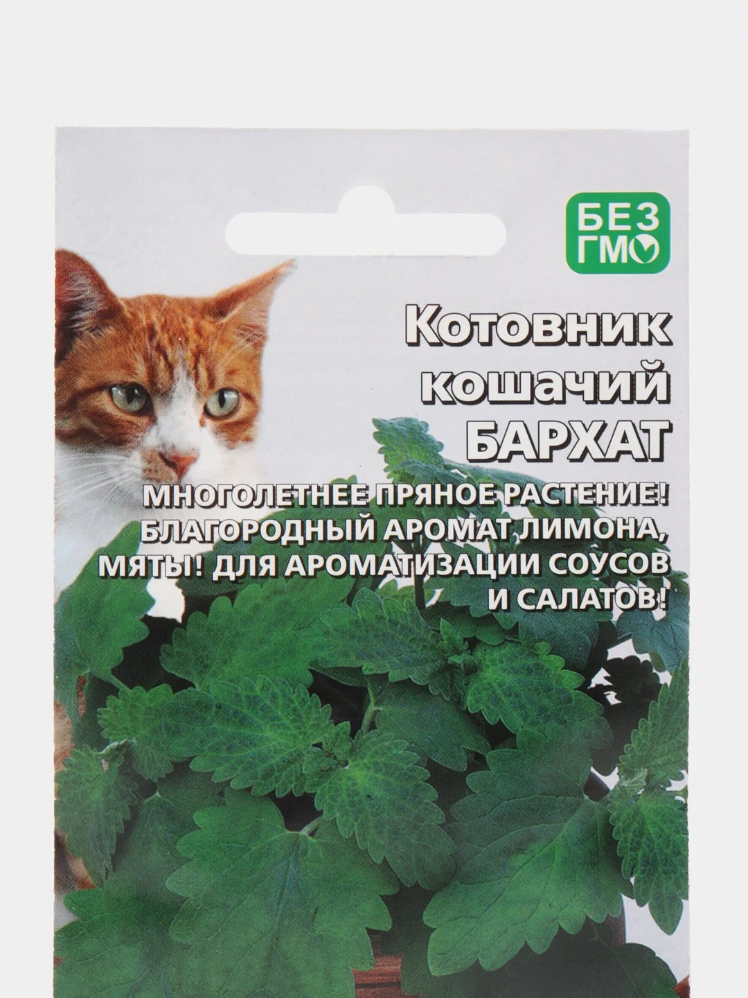 Котовник кошачий Бархат (УД), семена