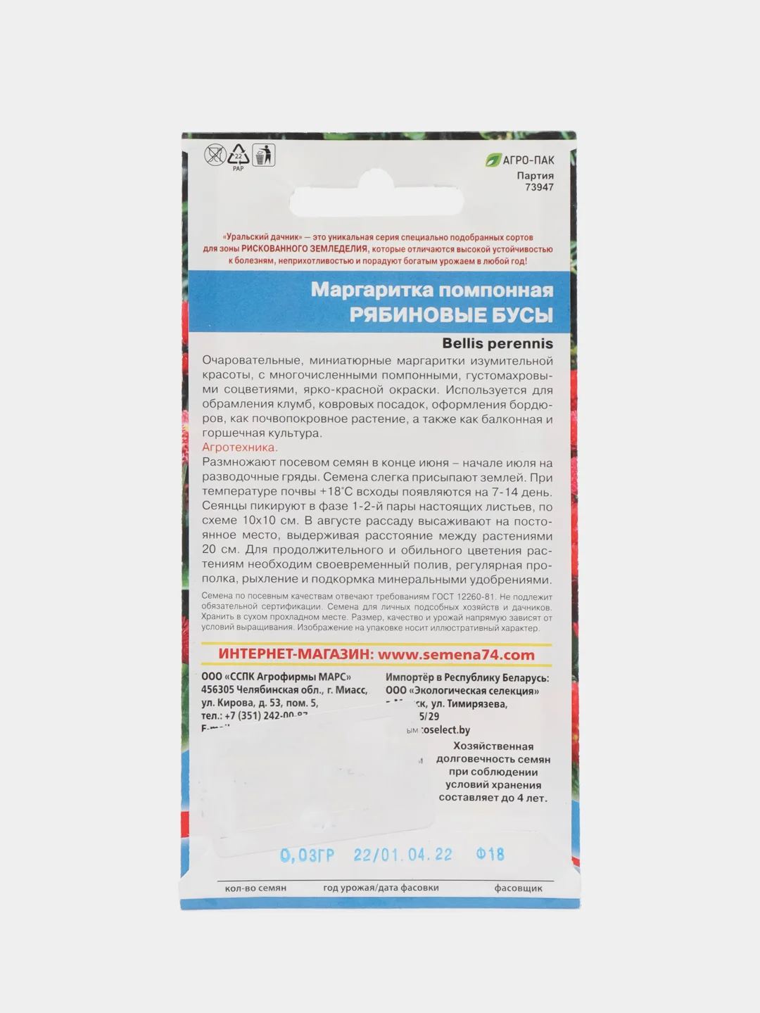 Цветы Маргаритка помпонная Рябиновые бусы (УД), семена