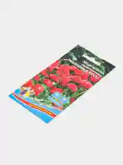Цветы Маргаритка помпонная Рябиновые бусы (УД), семена