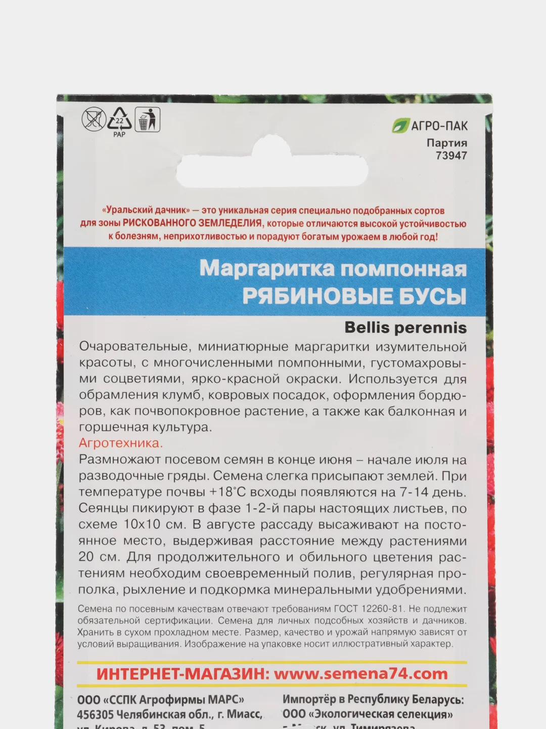 Цветы Маргаритка помпонная Рябиновые бусы (УД), семена