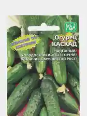 Огурец Каскад, "Уральский Дачник", семена