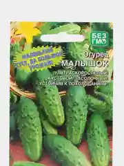 Огурец Малышок (УД), семена