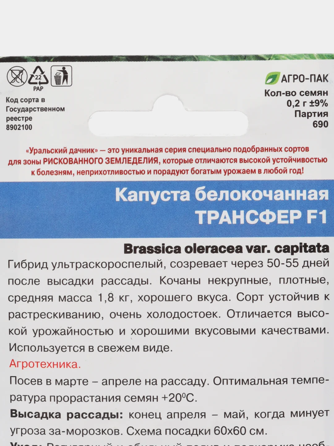 Капуста белокочанная, Трансфер F1, семена