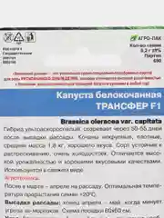 Капуста белокочанная, Трансфер F1, семена