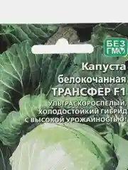 Капуста белокочанная, Трансфер F1, семена