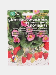 Земляника Флориан - ремонтантная F1 (УД), семена