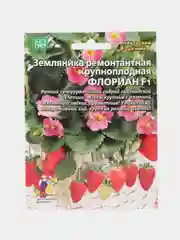 Земляника Флориан - ремонтантная F1 (УД), семена