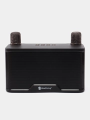 Музыкальная bluetooth колонка, караоке система для дома с микрофонами