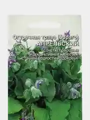 Огуречная трава (бораго) Апрельский (УД), семена