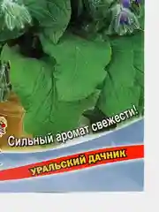 Огуречная трава (бораго) Апрельский (УД), семена