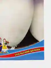Турнепс Остерзундомский "Уральский Дачник", семена