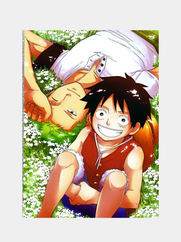 Плакат аниме Ван Пис, Ванпанчмен, One Piece, One Punch Man