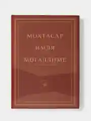 Мохтасар. Имля могаллиме. Пособие для всех, кто изучет старотатарский язык. На татарском