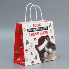 Новогдний подарочный пакет