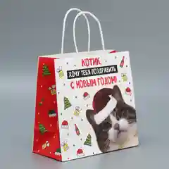 Новогдний подарочный пакет