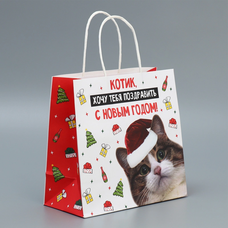Новогдний подарочный пакет