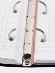 Тетрадь на кольцах со сменным блоком А5, 120 листов на липучке, Brauberg, 404637
