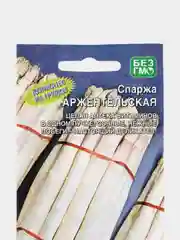 Спаржа Аржентельская (УД), семена