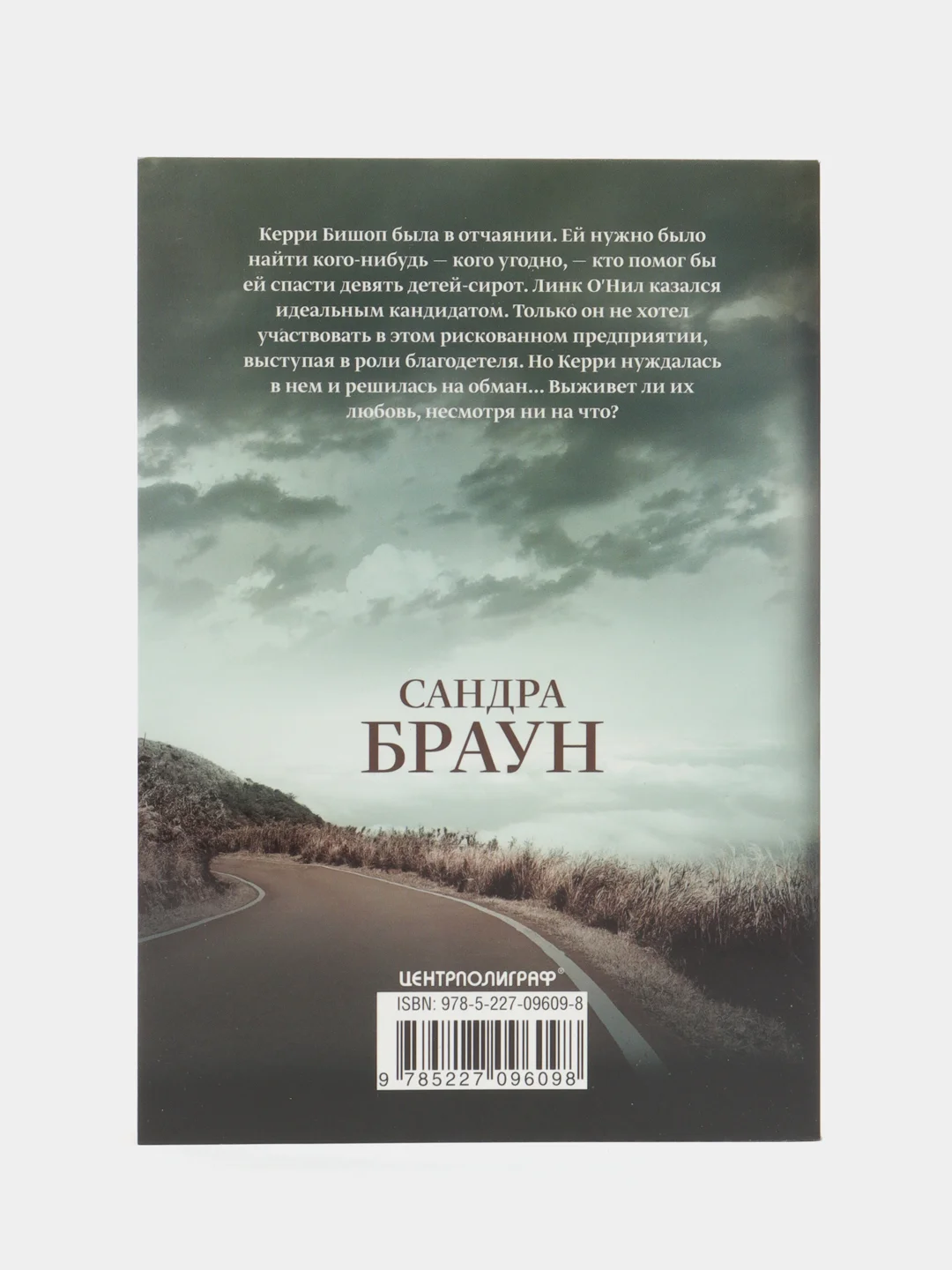 Дьявол, Браун С.