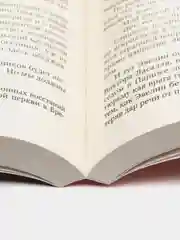 Джойс Б. "Капитуляция"
