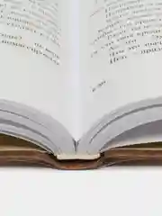Фитек С. Посылка