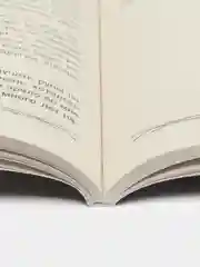 Руны и магия, К.Е. Меньшикова