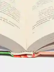 Румянцева Т. "Деликатесы для диабетиков. Неотложная кулинарная помощь"