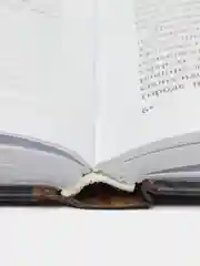 Мухаммед. Жизненный путь и духовные искания основателя ислама, М.Э. Бей