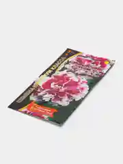 Цветы Петуния супермахровая, Фламандское Кружево, "Уральский Дачник", семена