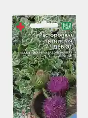 Расторопша пятнистая Дебют (УД), семена