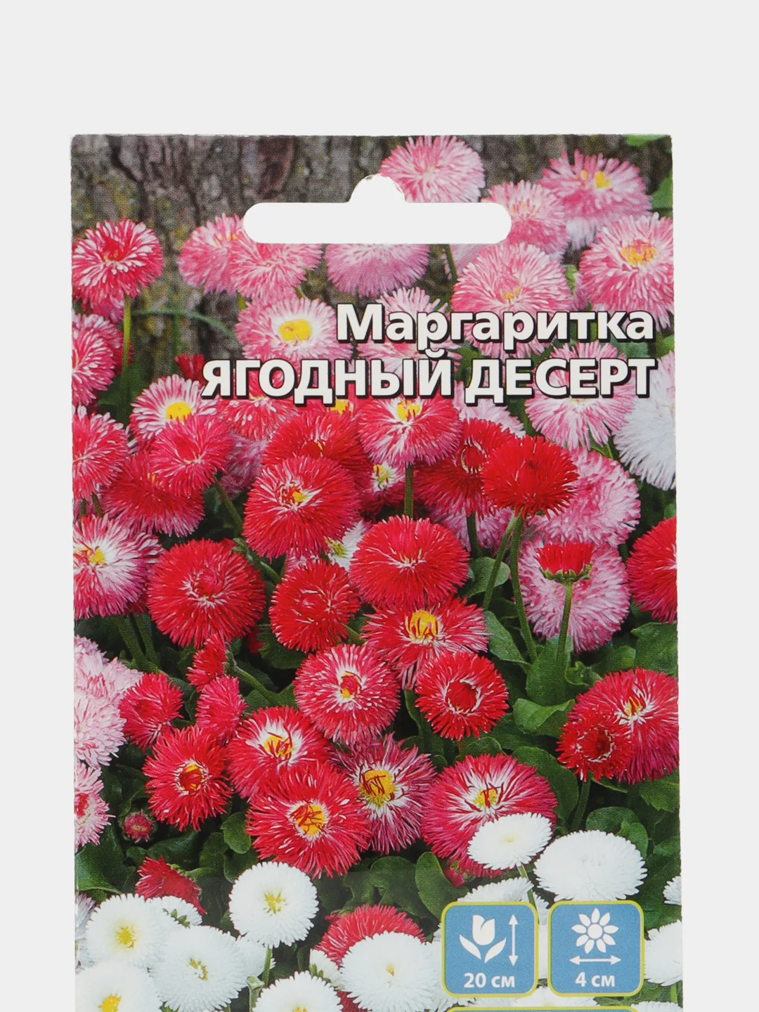 Цветы Маргаритка Ягодный десерт (УД), семена